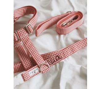 arnes-h-vichy-rojo
