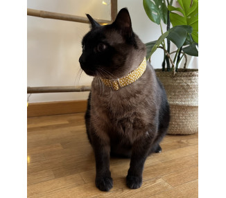 Collar gotas mostaza - Imagen 3