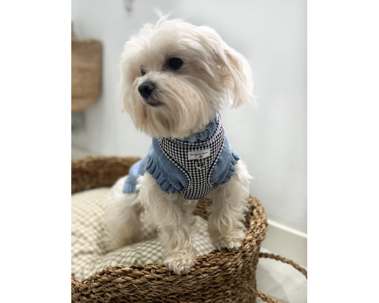 jersey-azul