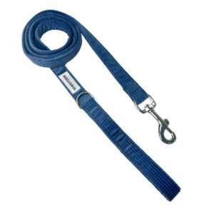 Correa simple pana azul