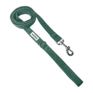 Correa simple pana mint