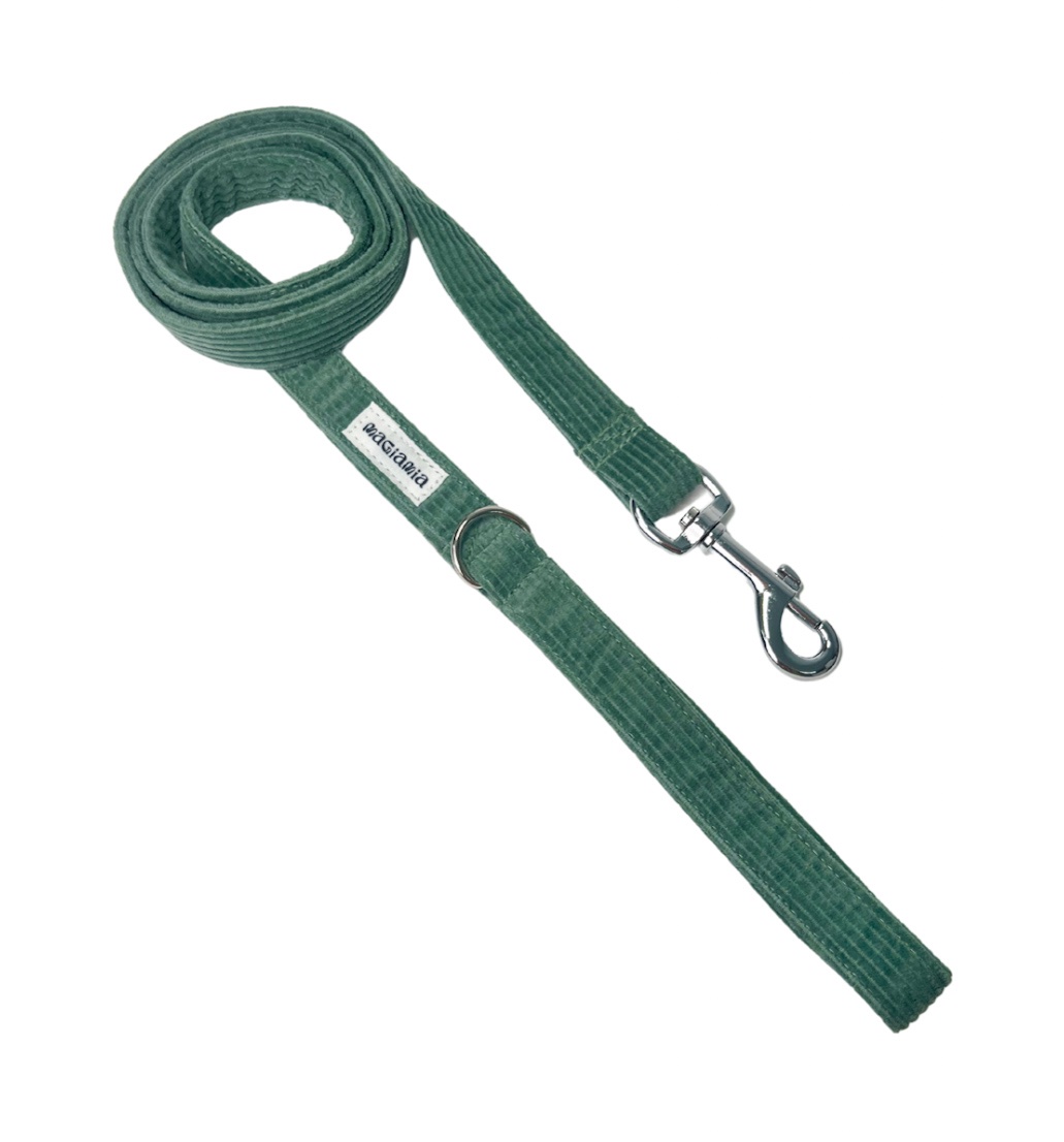 Correa simple pana mint