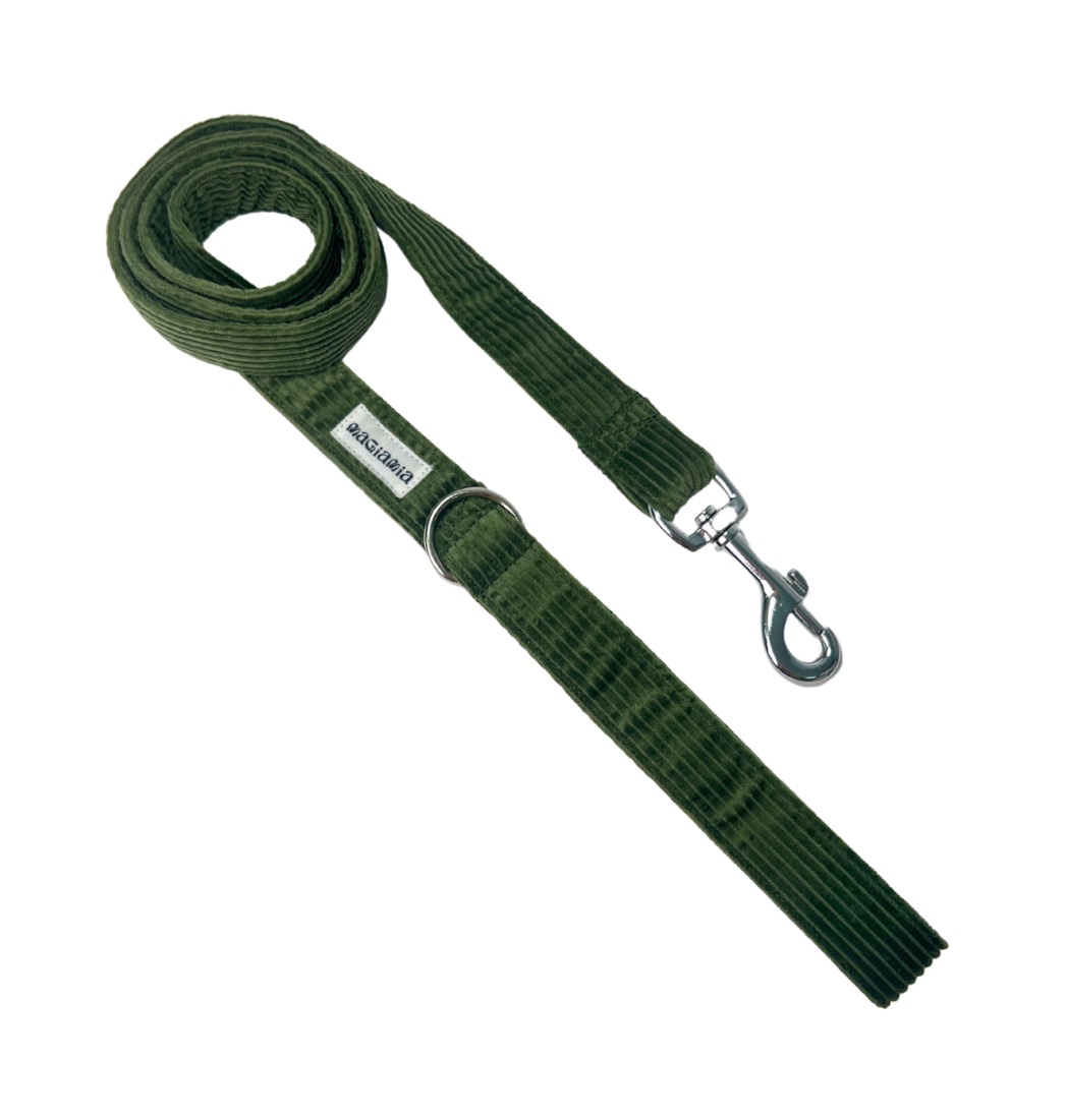 Correa simple pana verde