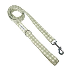 Correa simple vichy verde