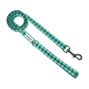 Correa simple vichy bicolor verde
