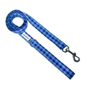 Correa simple vichy bicolor azul